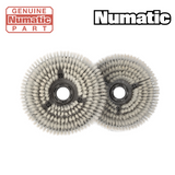 Numatic 244NX 220mm Nylon Scrub Brush (Set of 2) Nyloscrub 911931