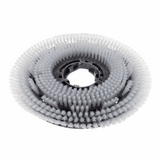 Numatic 606550 550mm floor scrubber machine nyloscrub shampoo brush 20-inch