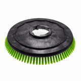 Numatic Poly scrub Scrubbing Brush