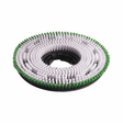 Numatic Polyscrub Scrubbing Brush