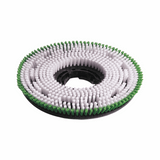 Numatic Polyscrub Scrubbing Brush