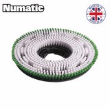 Numatic Poly scrub Scrubbing Brush