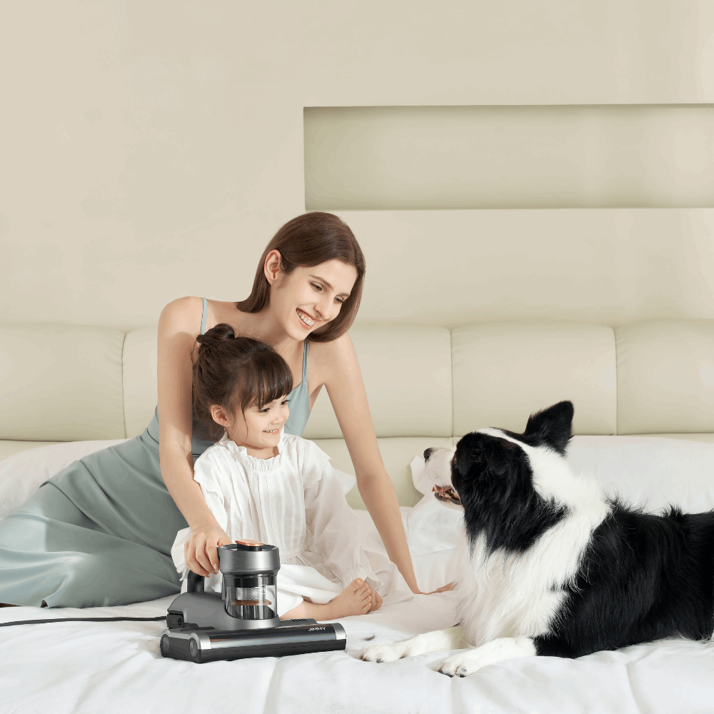jimmy bx7 the best mattress and bed vacuum cleaner with UV for dust mites