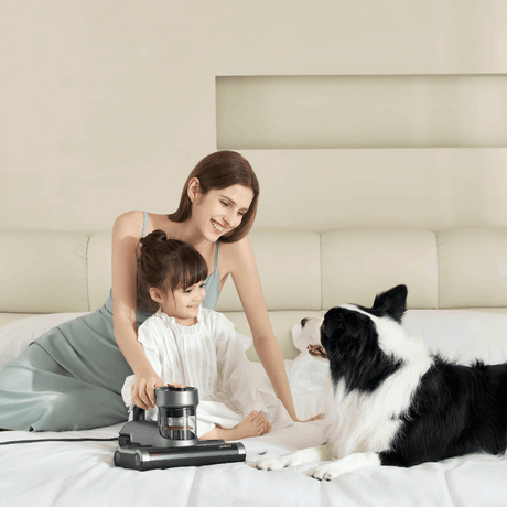 jimmy bx7 the best mattress and bed vacuum cleaner with UV for dust mites